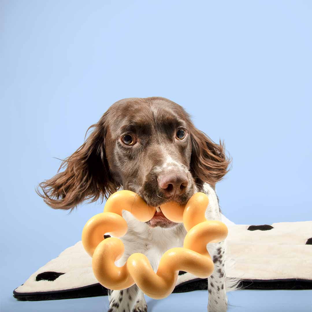 Juguete Perro Sunny Amarillo Duvo+ CooKoo | 16,5 x 4,5cm