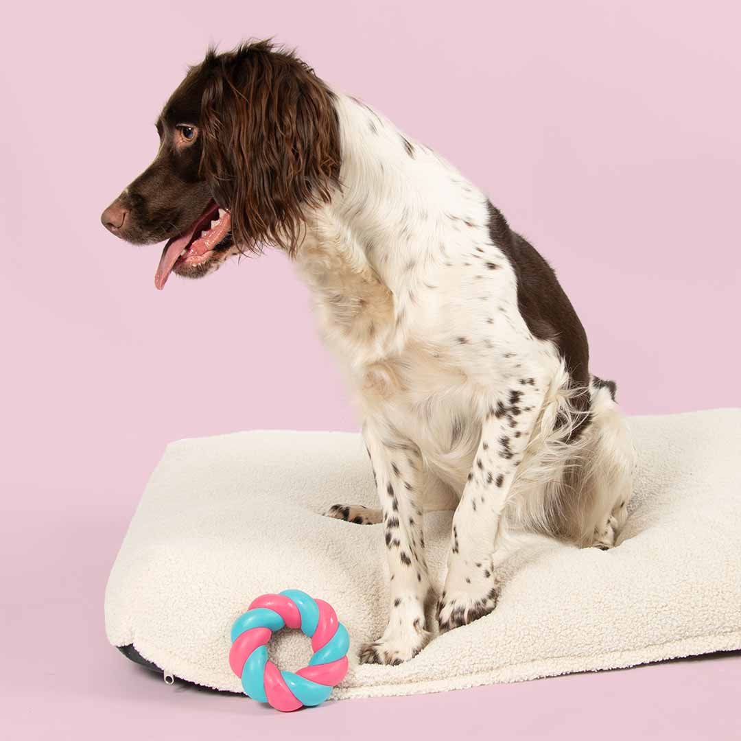Juguete Perro Mallow Ring Rosa y Azul Duvo+ CooKoo | 11 x 11 x 4cm