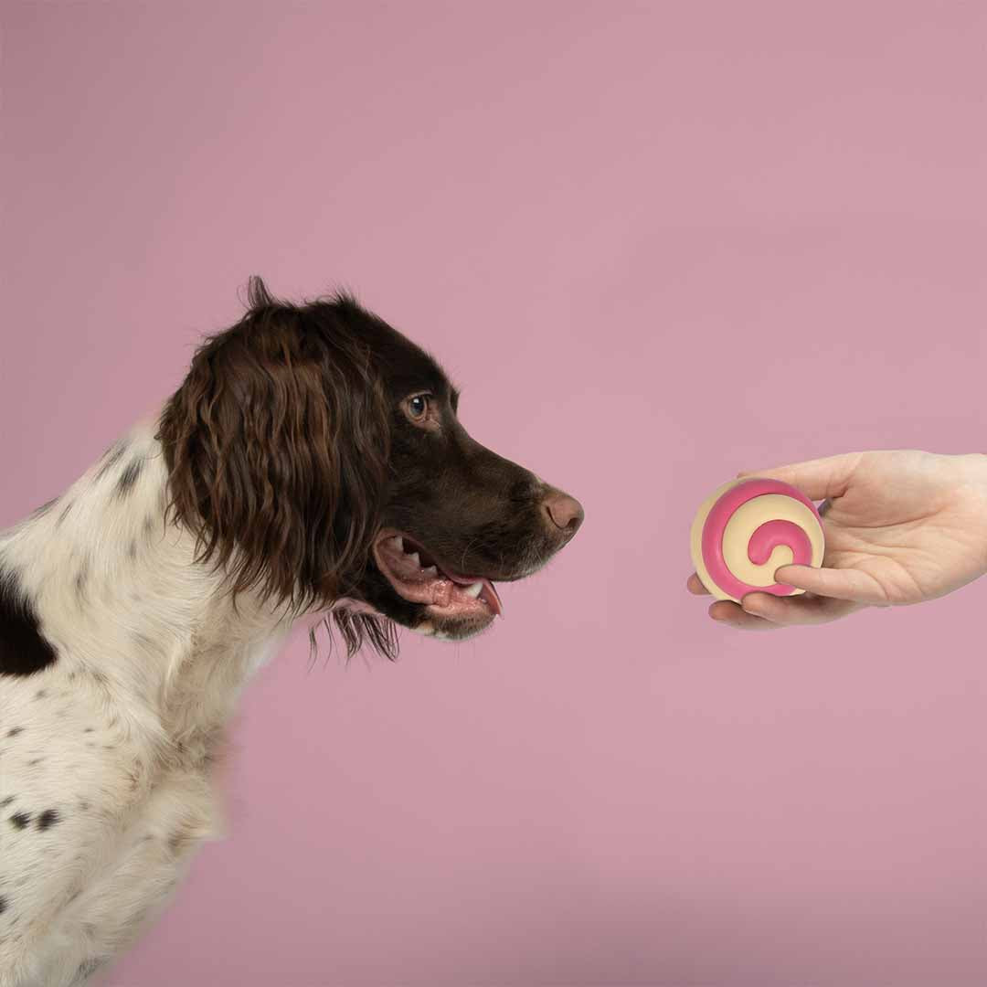 Juguete Perro Berry Swirl Rosa y Beige Duvo+ CooKoo | 7,5cm | Razas Pequeñas