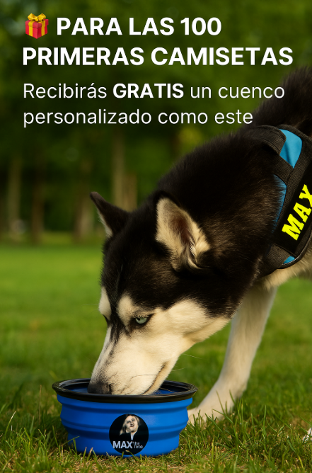 🐾 Camiseta Especial Fans MAX BOMBÓN Y BALTO