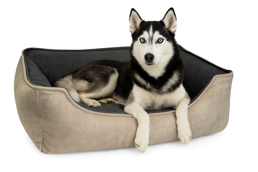 Cama para perro Eva Soft Antimanchas – Confort y fácil limpieza | Max the Husky