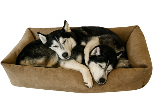 Cuna Jumbo XXL Antimanchas Panamá – Desenfundable y ultracómoda | Max the Husky