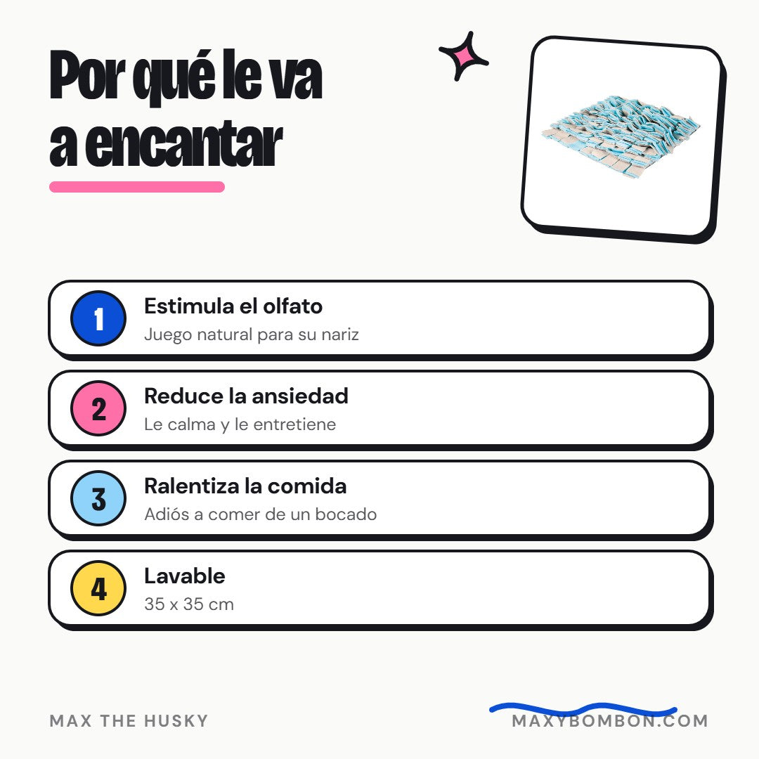 Por qué le va a encantar - Max The Husky