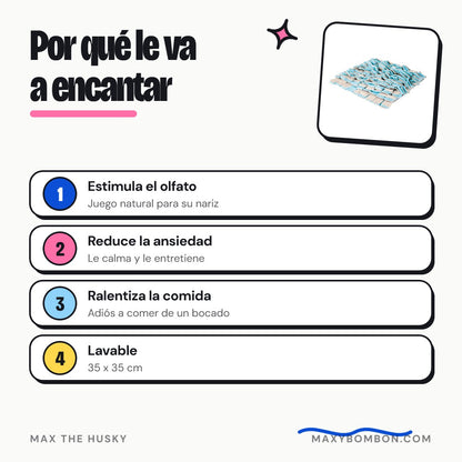 Por qué le va a encantar - Max The Husky