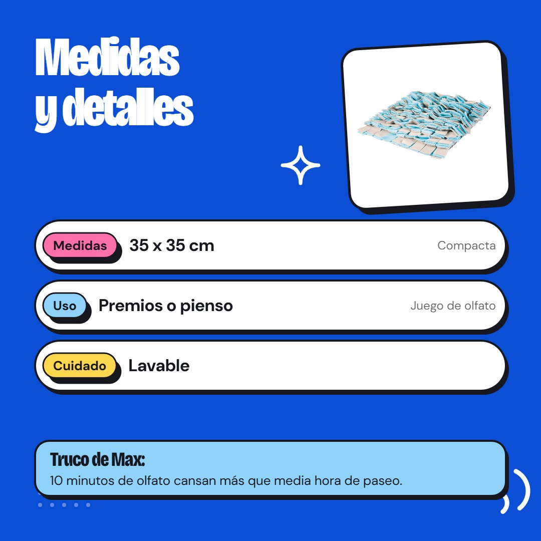 Medidas y detalles - Max The Husky