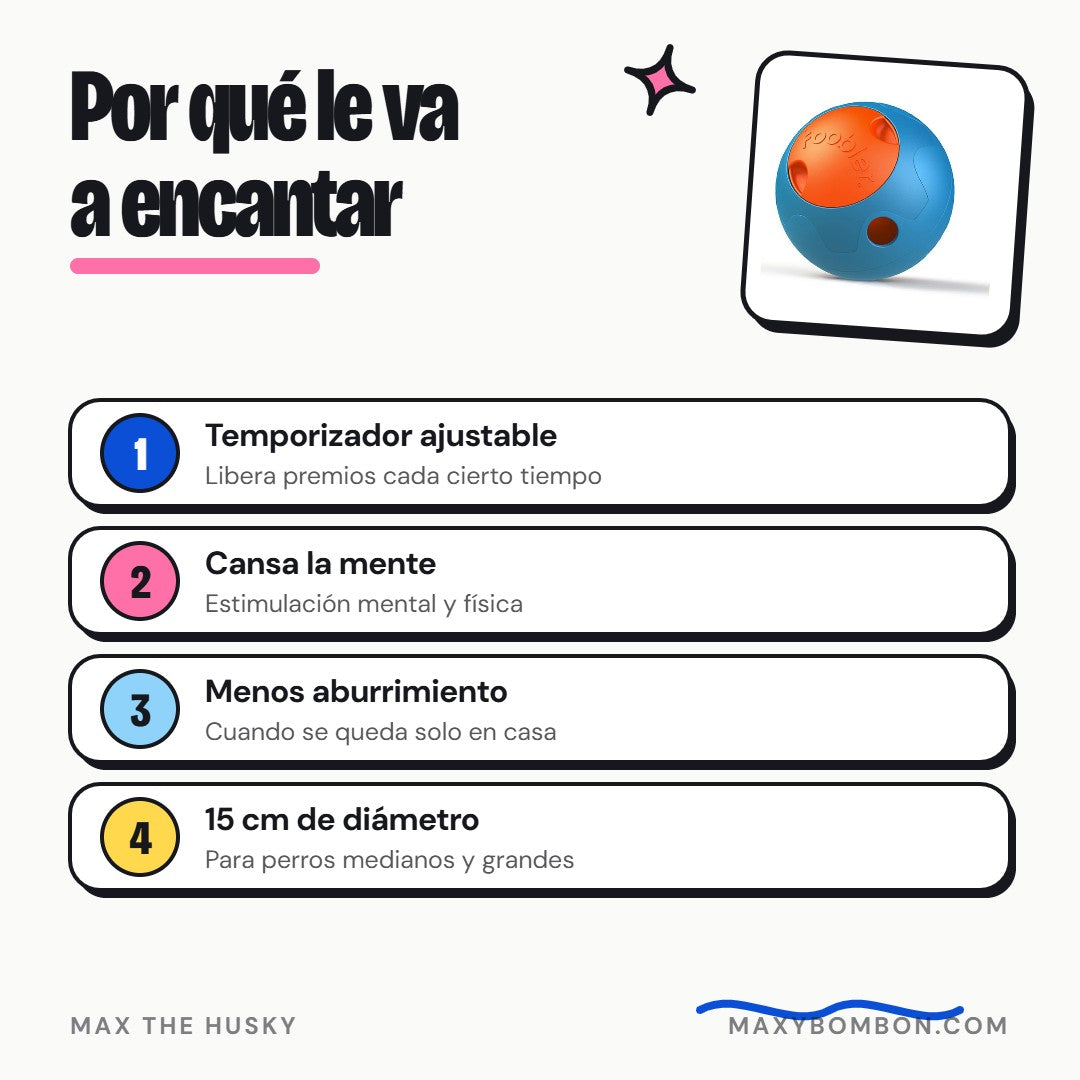 Por qué le va a encantar - Max The Husky