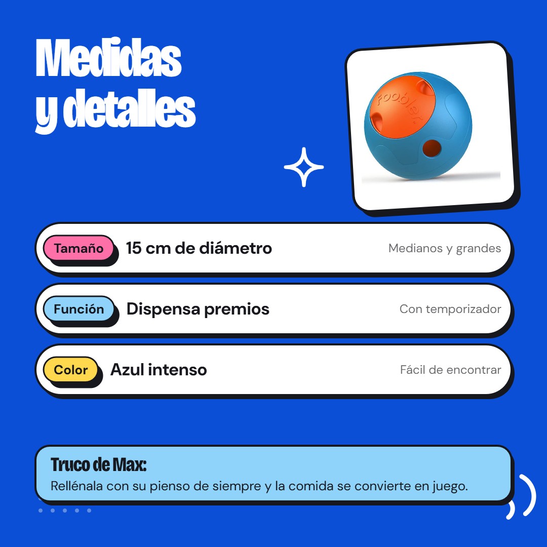 Medidas y detalles - Max The Husky