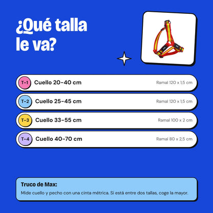 Guía de tallas kit de paseo España