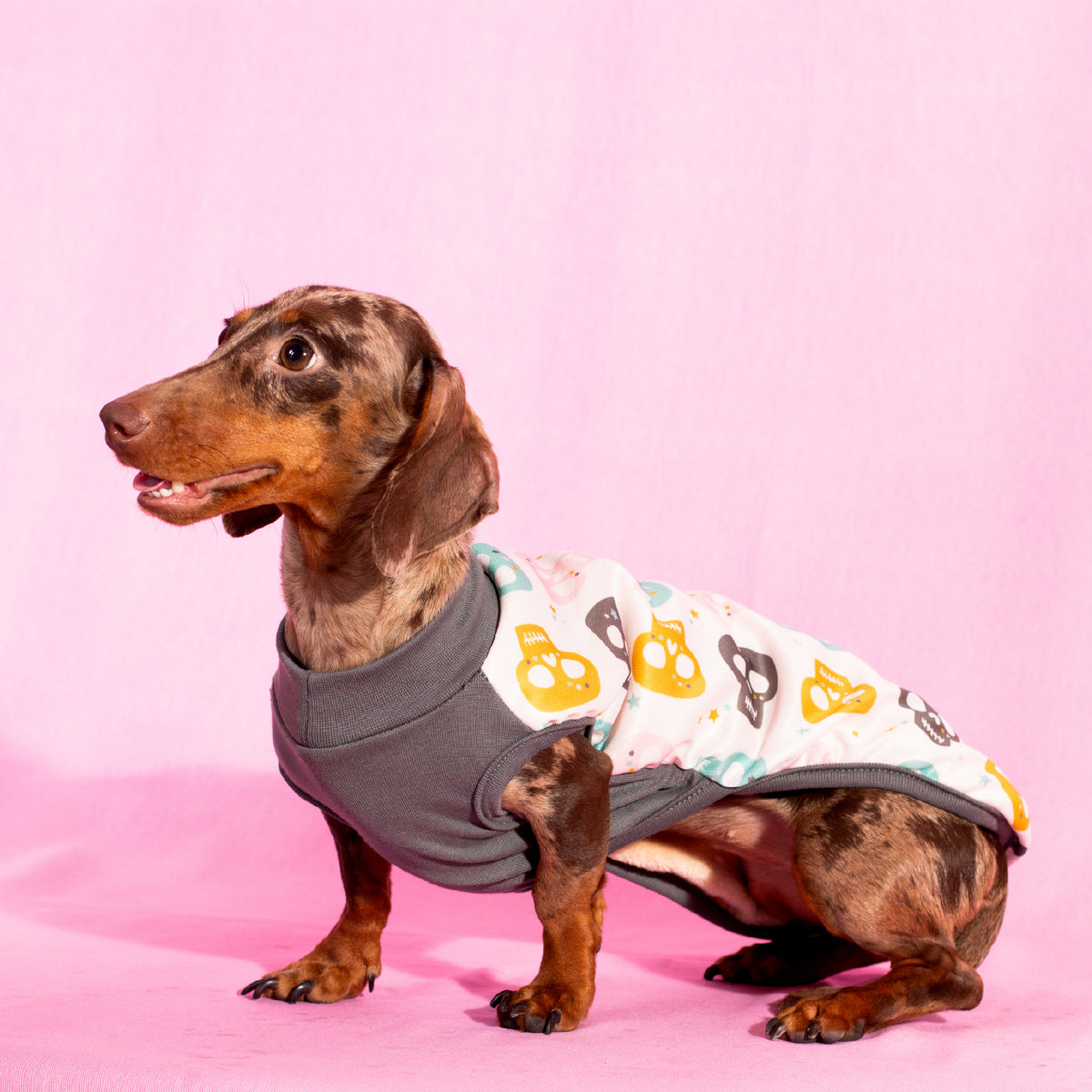 Abrigo Capa para Perros Yagu Moda