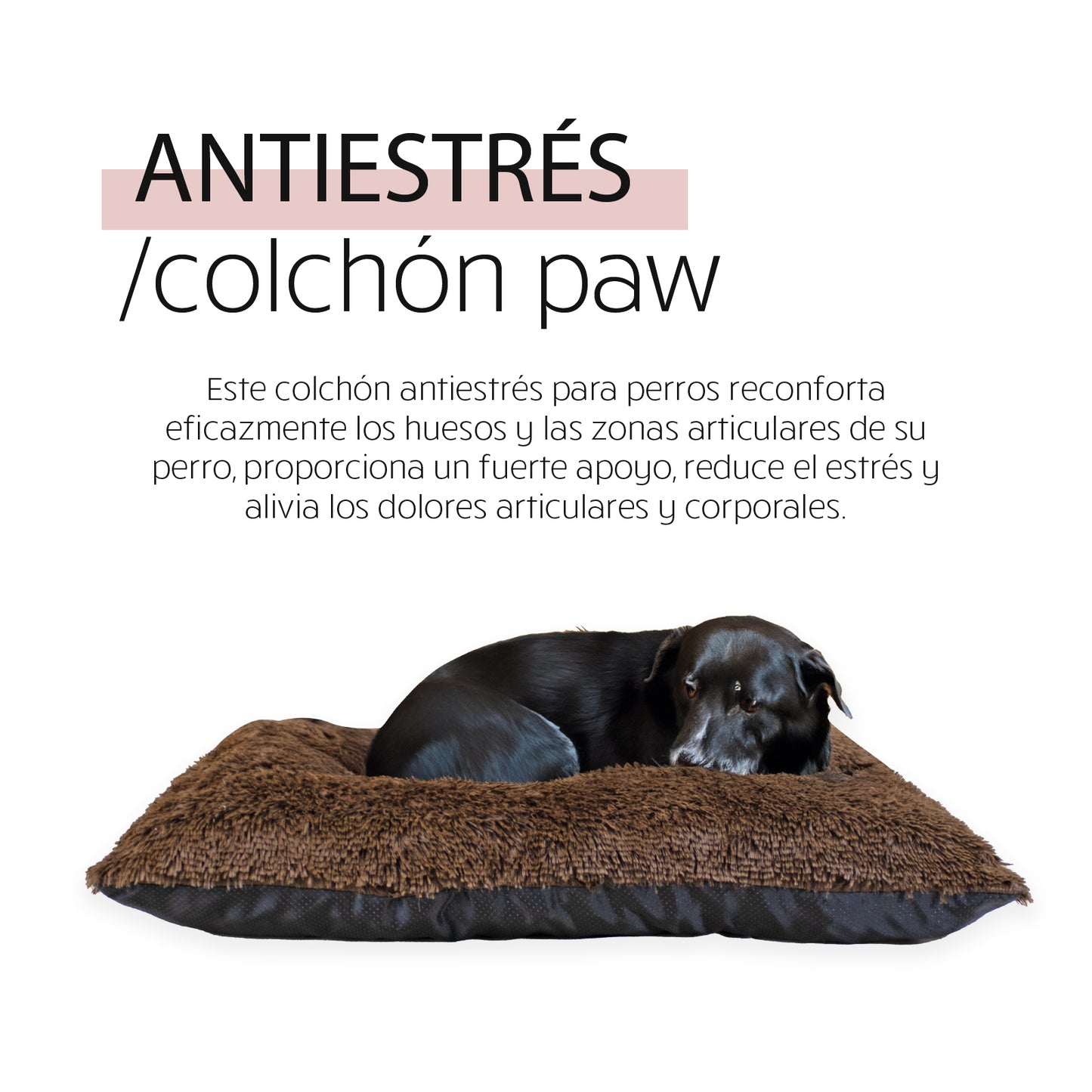 Colchón Antistrés para Perros Yagu Paw 80x60cm | Varios Colores