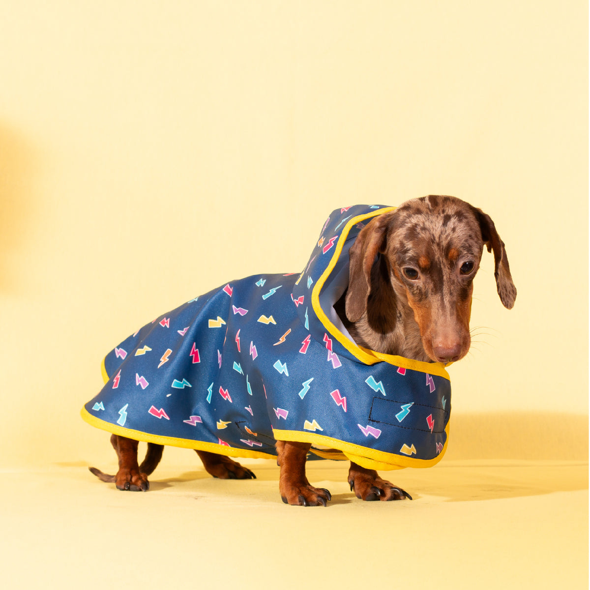 Impermeable para Perros Yagu Moda