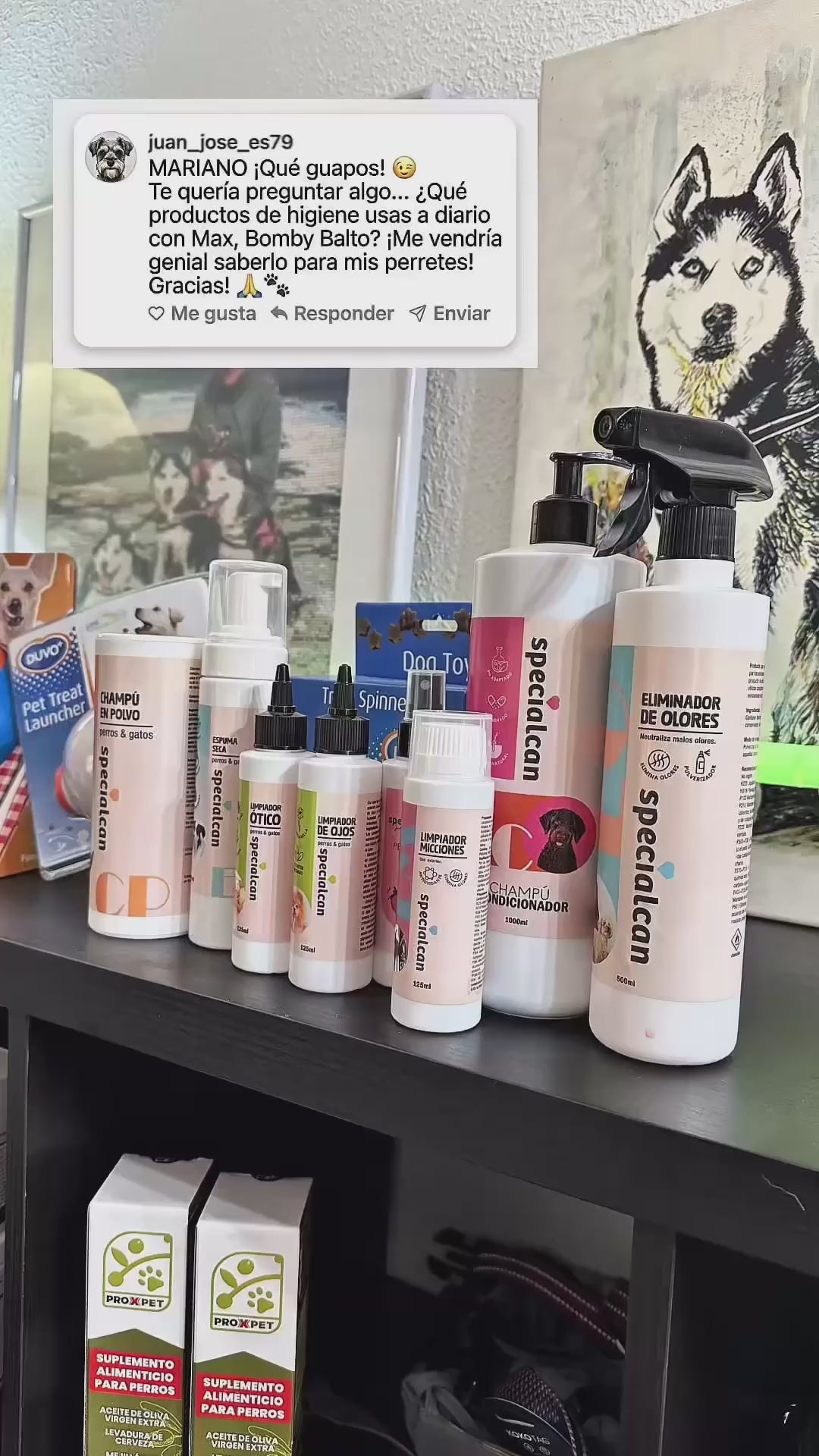Kit Baño de Max | Champú + Colonia + Espuma Seca + Limpiadores