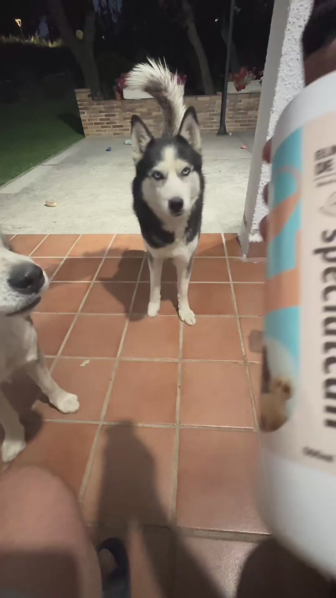Eliminador de Olores Specialcan 500 ml | Adiós al olor a perro en casa