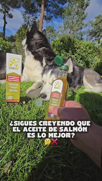 PROXPET Complemento alimenticio para perros 250ml