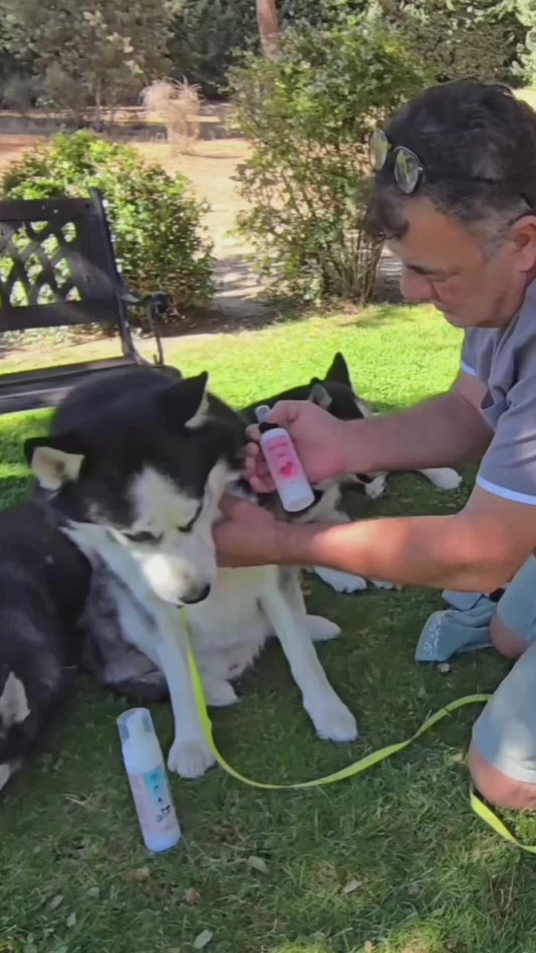 Colonia para Perros Specialcan 125 ml | Huele a recién bañado