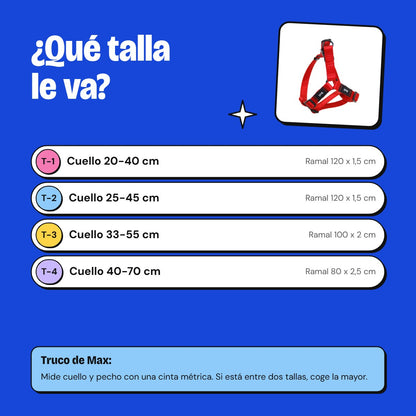 Guía de tallas kit de paseo rojo