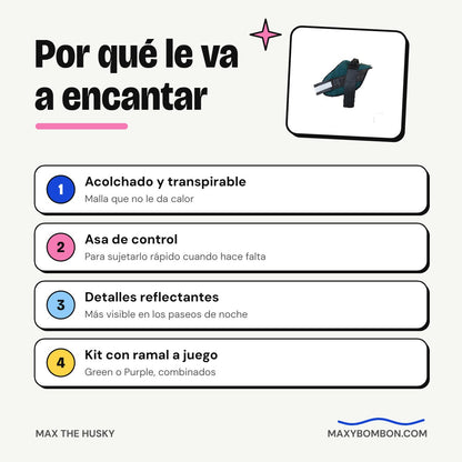 Por qué le va a encantar el arnés Strong