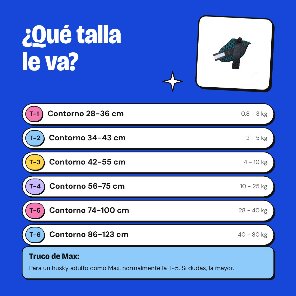 Guía de tallas arnés Strong
