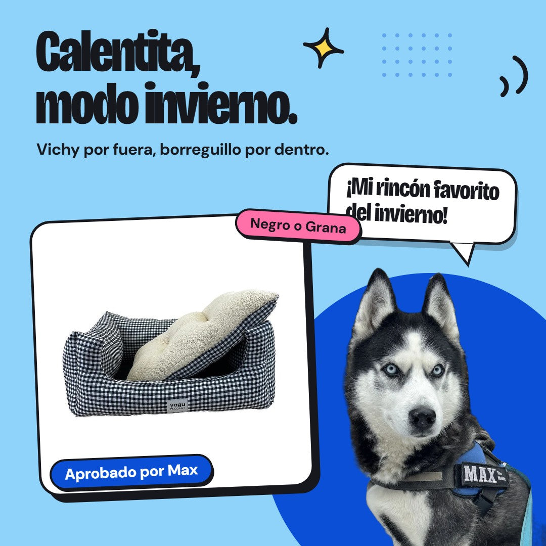 Aprobado por Max - Max The Husky