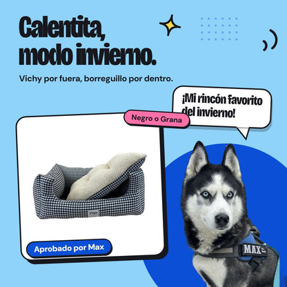 Aprobado por Max - Max The Husky