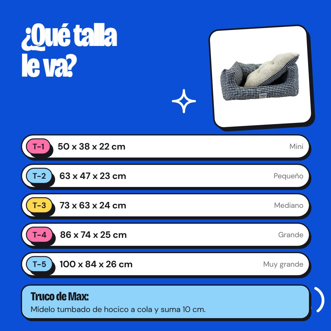 Medidas y detalles - Max The Husky